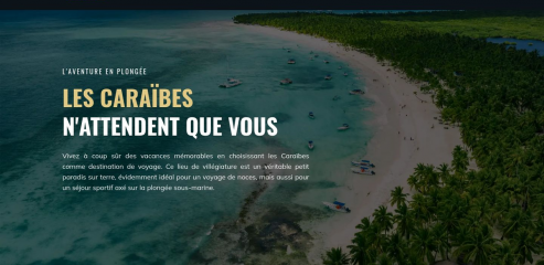 https://www.plaisir-plongee-caraibes.com